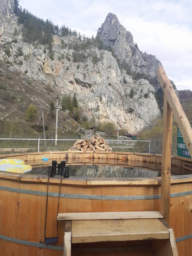 Pensiunea Cheile Sugaului Bauernhof *