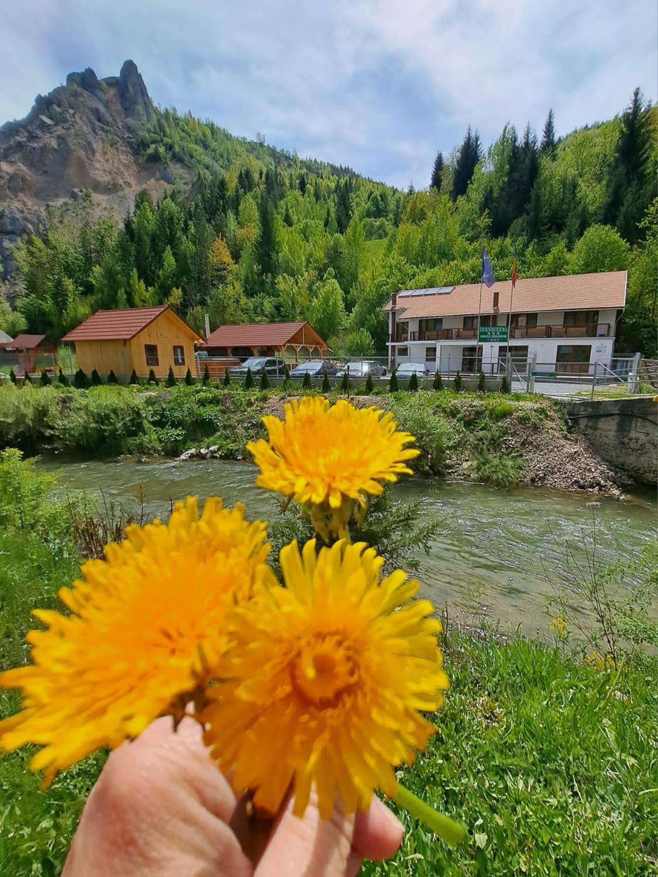 Pensiunea Cheile Sugaului * Bicaz-Chei