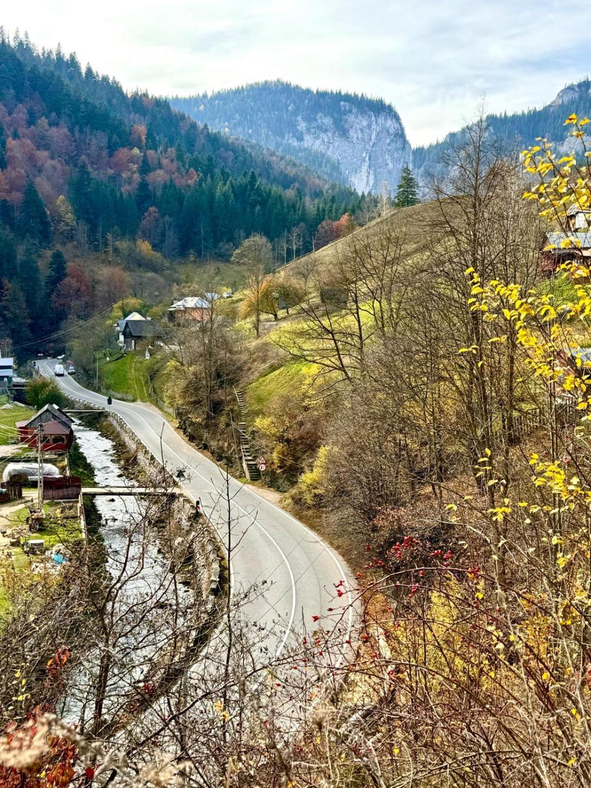 Pensiunea Cheile Sugaului Bauernhof