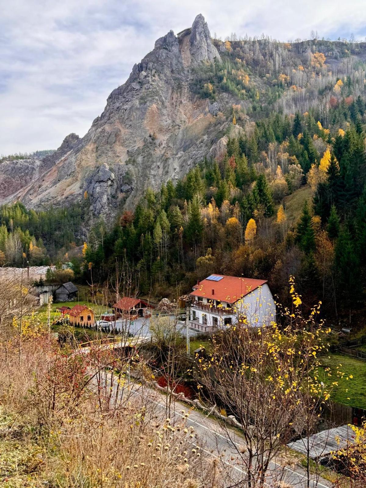 Bauernhof Pensiunea Cheile Sugaului *