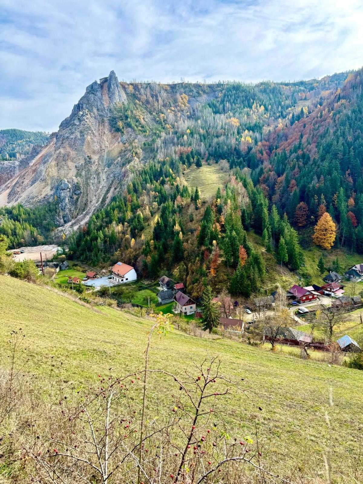 Bauernhof Pensiunea Cheile Sugaului Bicaz-Chei